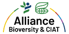 Alliance
